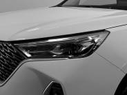 VHAVAL M6 2025 г.в.